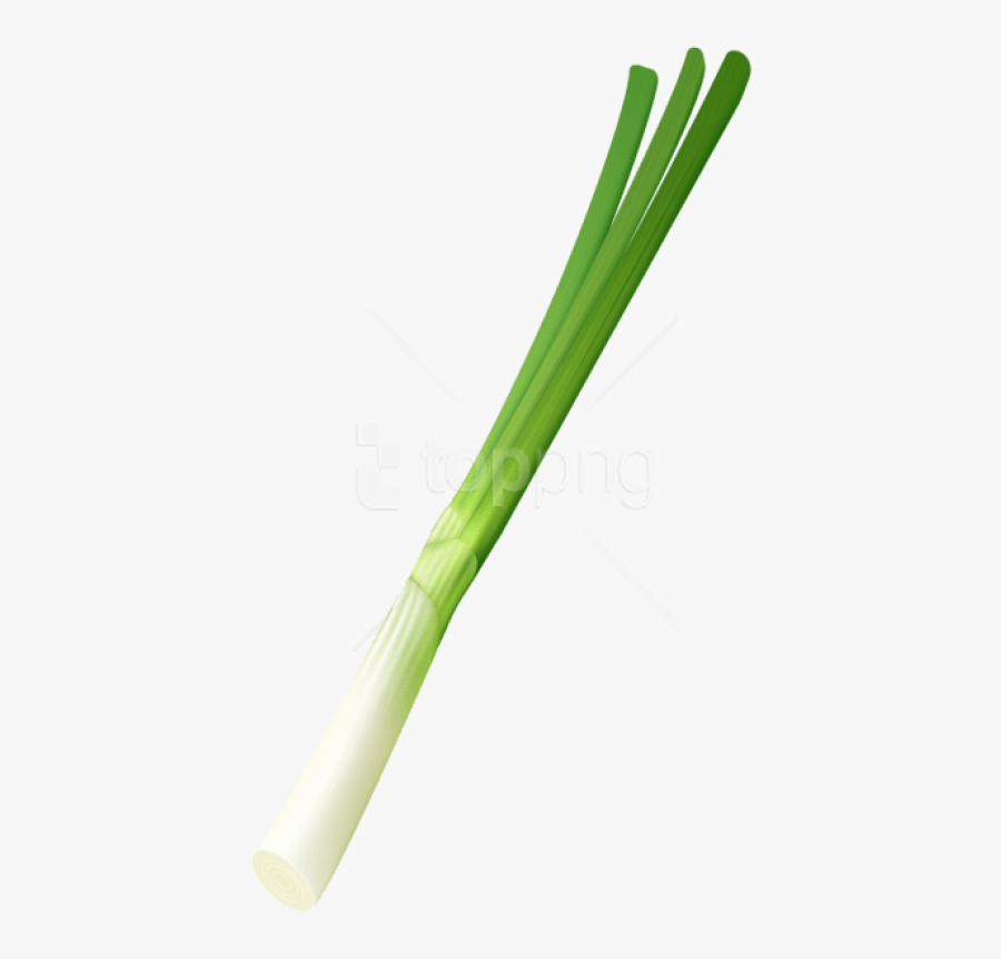 Leek,welsh Family,flowering Plant,food,produce,ramp - Pipe, Transparent Clipart