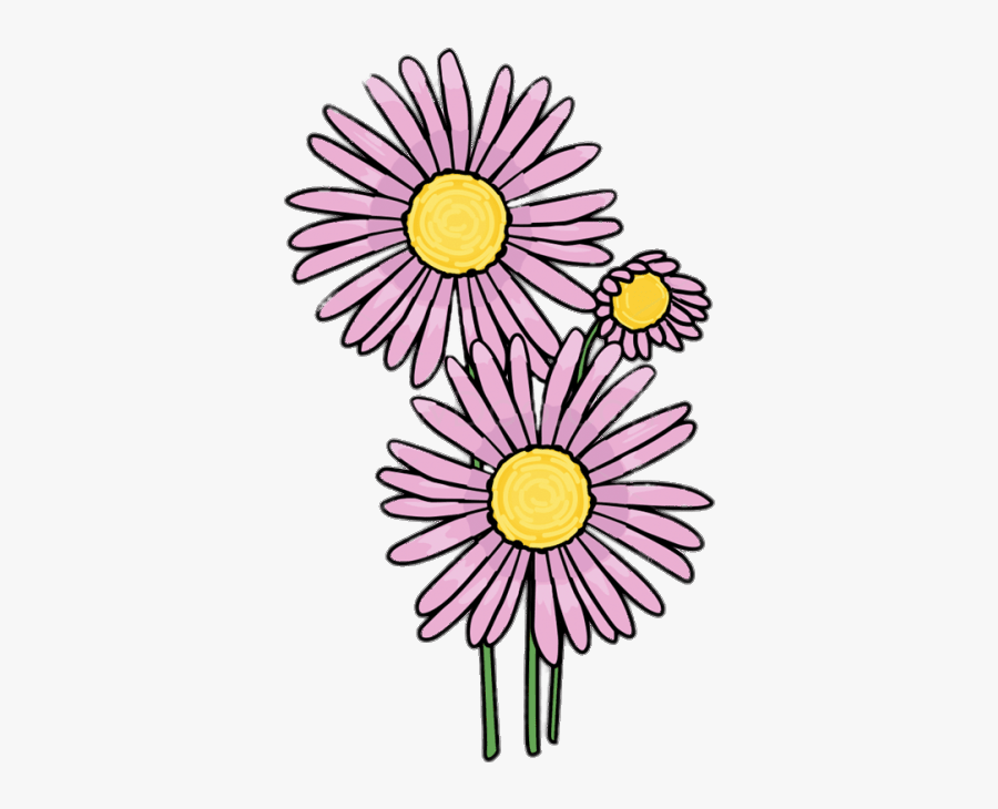 Pink Aster Clipart Drawing Of Aster Flower Free Transparent Clipart Clipartkey,Chocolate Muffin Recipe Jamie Oliver
