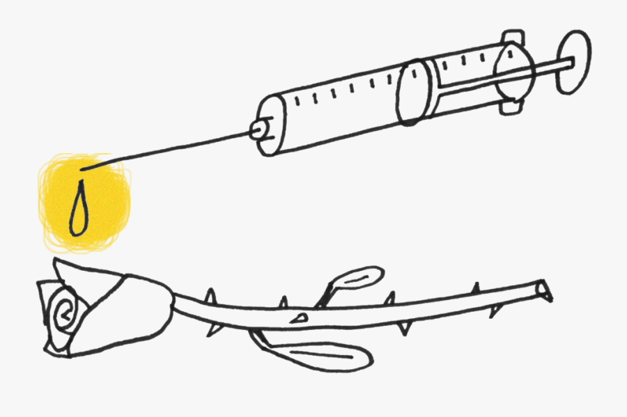 Line Art, Transparent Clipart