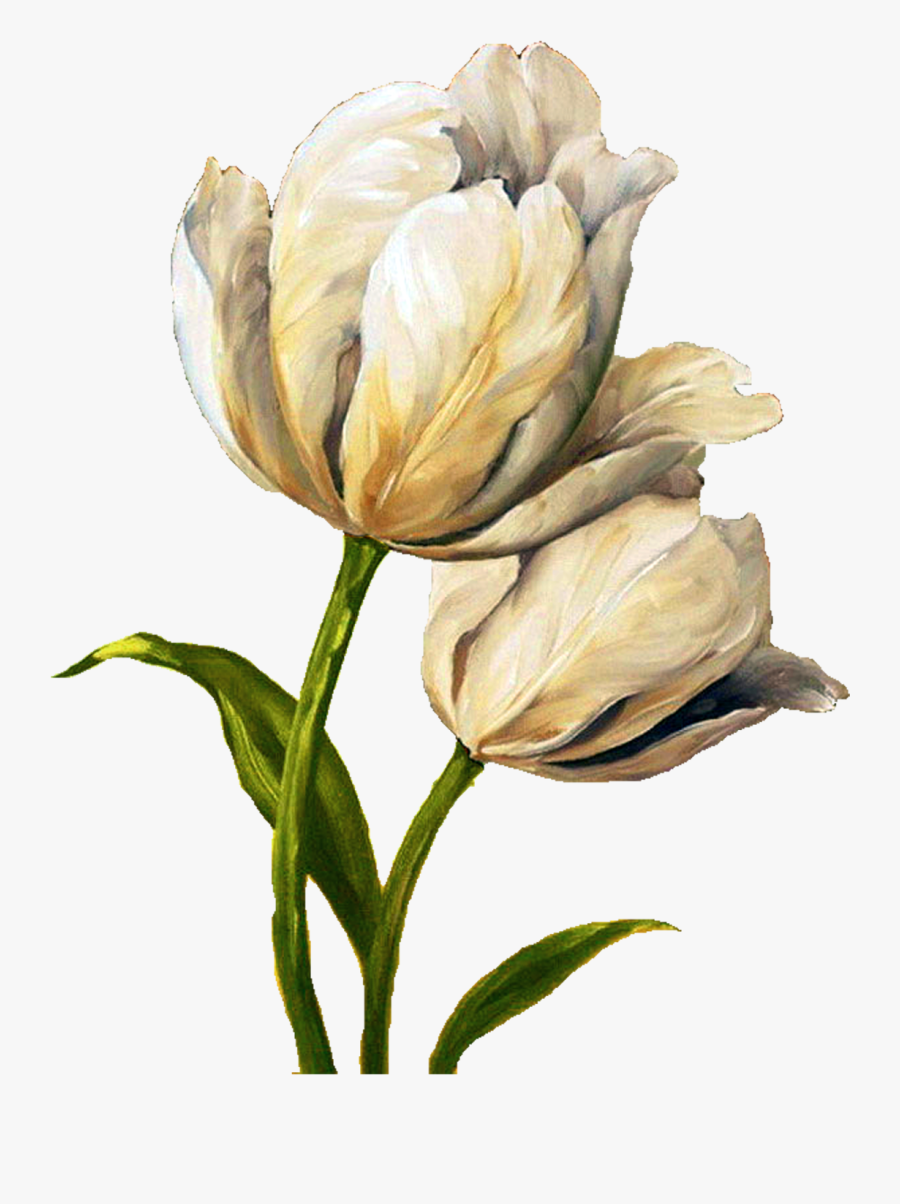 Decoupage Flower, Flower Painting, Flower Painting - Tulip Painting, Transparent Clipart