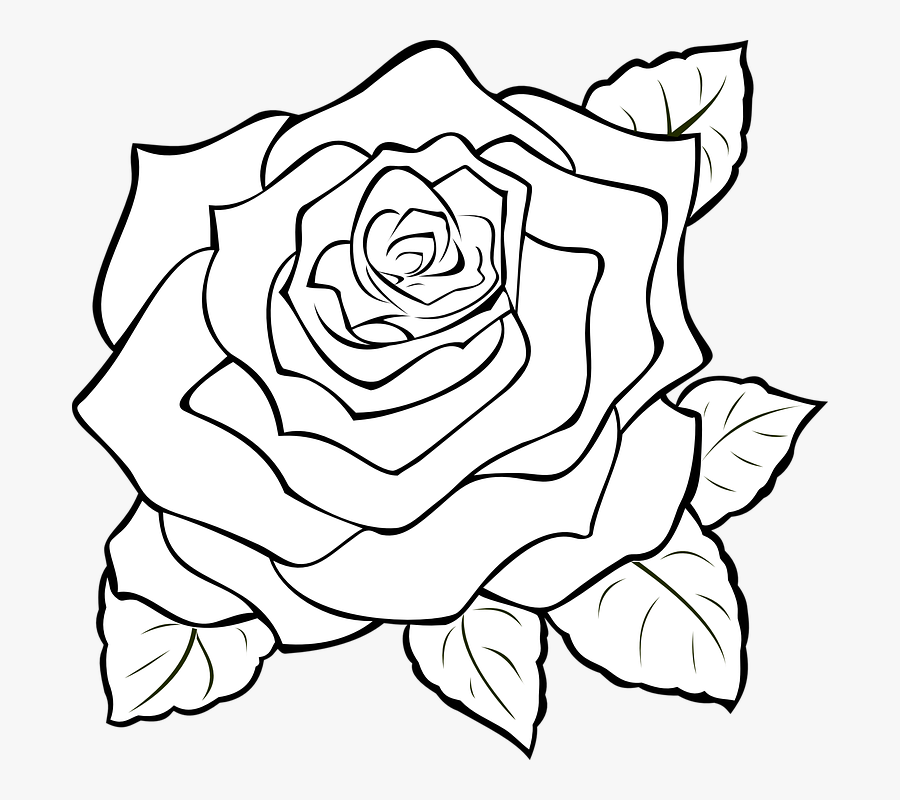 Light Pink Cartoon Roses, Transparent Clipart