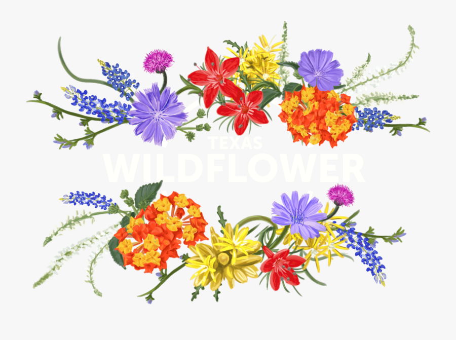 Wildflower Clipart Native Texas - Texas Wildflower Clip Art, Transparent Clipart