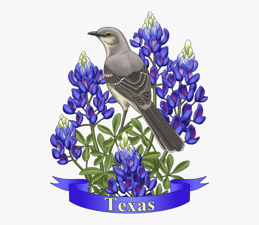 Texas State Mockingbird And Bluebonnet Flower, Transparent Clipart