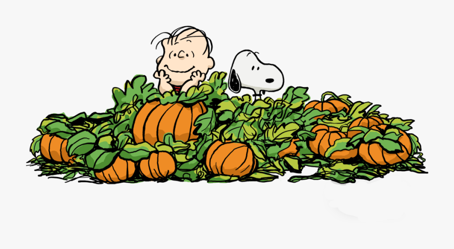 Pilgrims Cliparts Transparent Snoopy - Charlie Brown Pumpkin Patch Clipart, Transparent Clipart