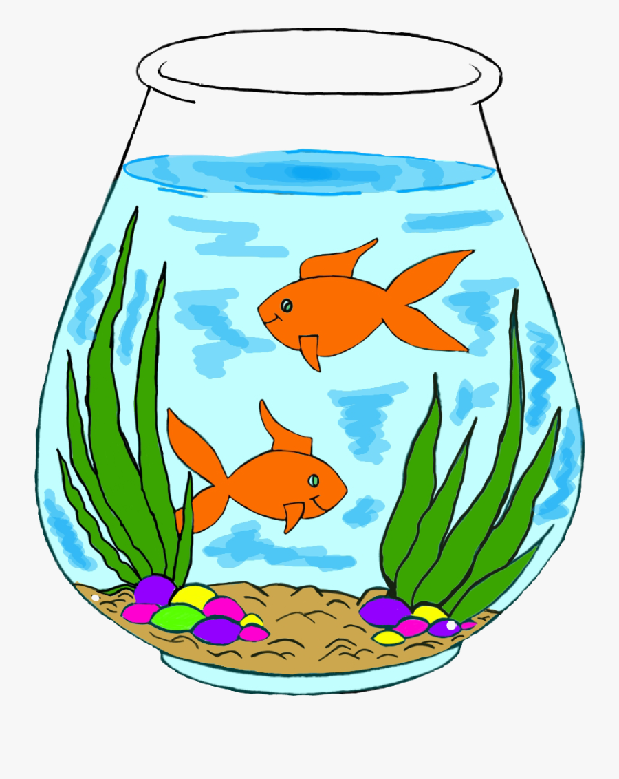 #fish #bowl #fishbowl #water - Feeder Fish, Transparent Clipart