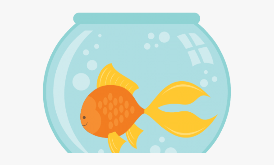 Pomacentridae, Transparent Clipart