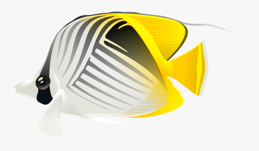 Aquarium Fish Png Clip Art Image - Pomacentridae, Transparent Clipart