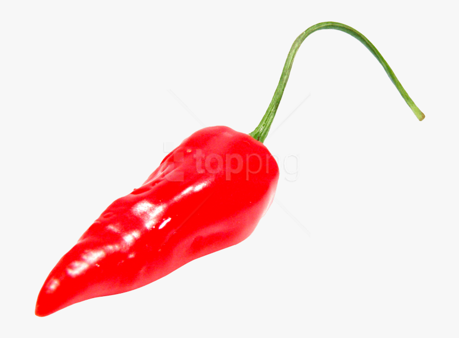 Download Red Chili Pepper Png Images Background - Red Chili Pepper Png, Transparent Clipart