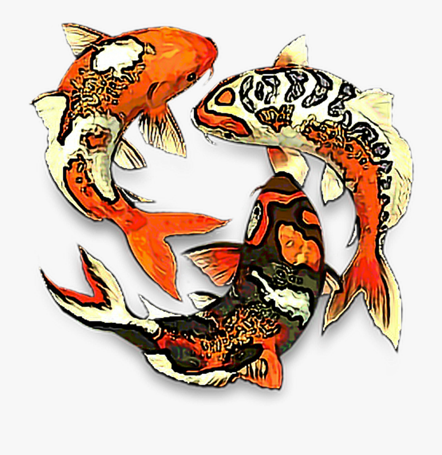 Koifish Aesthetic Koi Fish Fishes Fishbowl Water Fishes - Transparent Coy Fish Png, Transparent Clipart