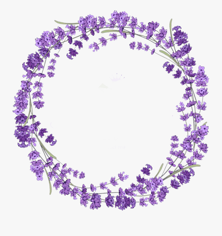 Transparent Photography Clipart Png - Lavender Png Clipart, Transparent Clipart