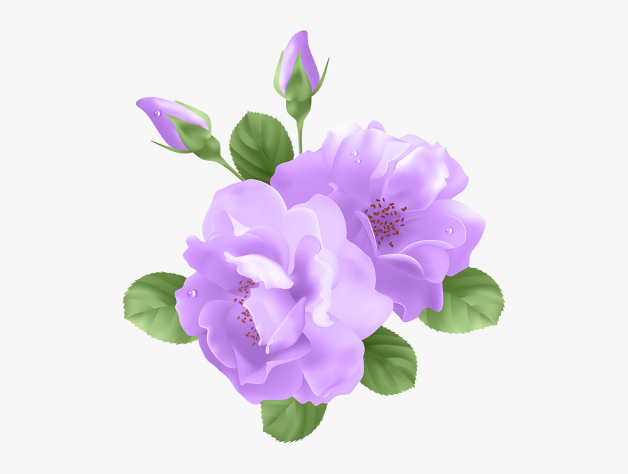 Rose Clip Art Vector - Purple Roses Png Transparent Background, Transparent Clipart