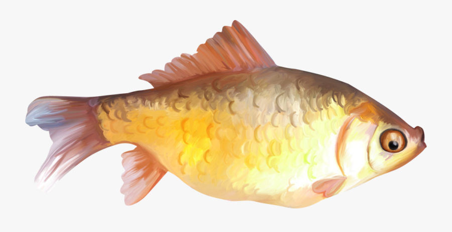 Painted Fish Clipart - Fish Painting Png, Transparent Clipart