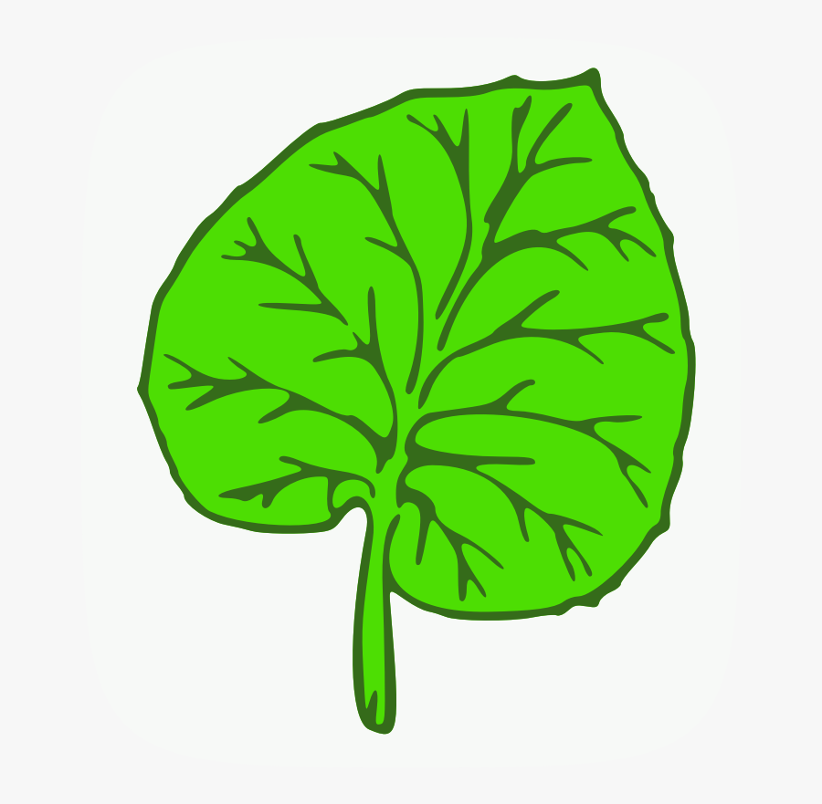 Botany Quiz Award - Big Leaf Clip Art, Transparent Clipart