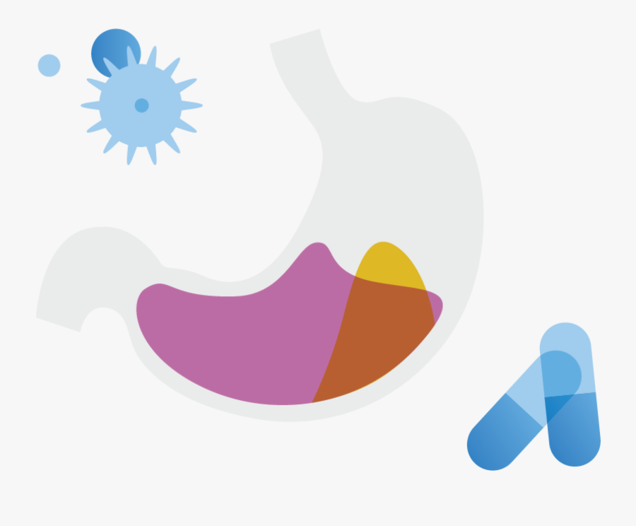 Plays A Pivotal Role In Many Critical Physiological, Transparent Clipart