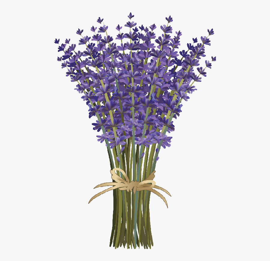 Lavender Clipart , Png Download - Lavender Bouquet Transparent, Transparent Clipart