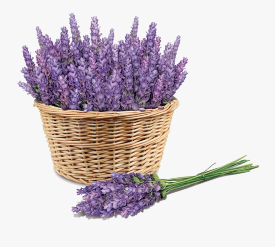 Lavender Basket Png, Transparent Clipart