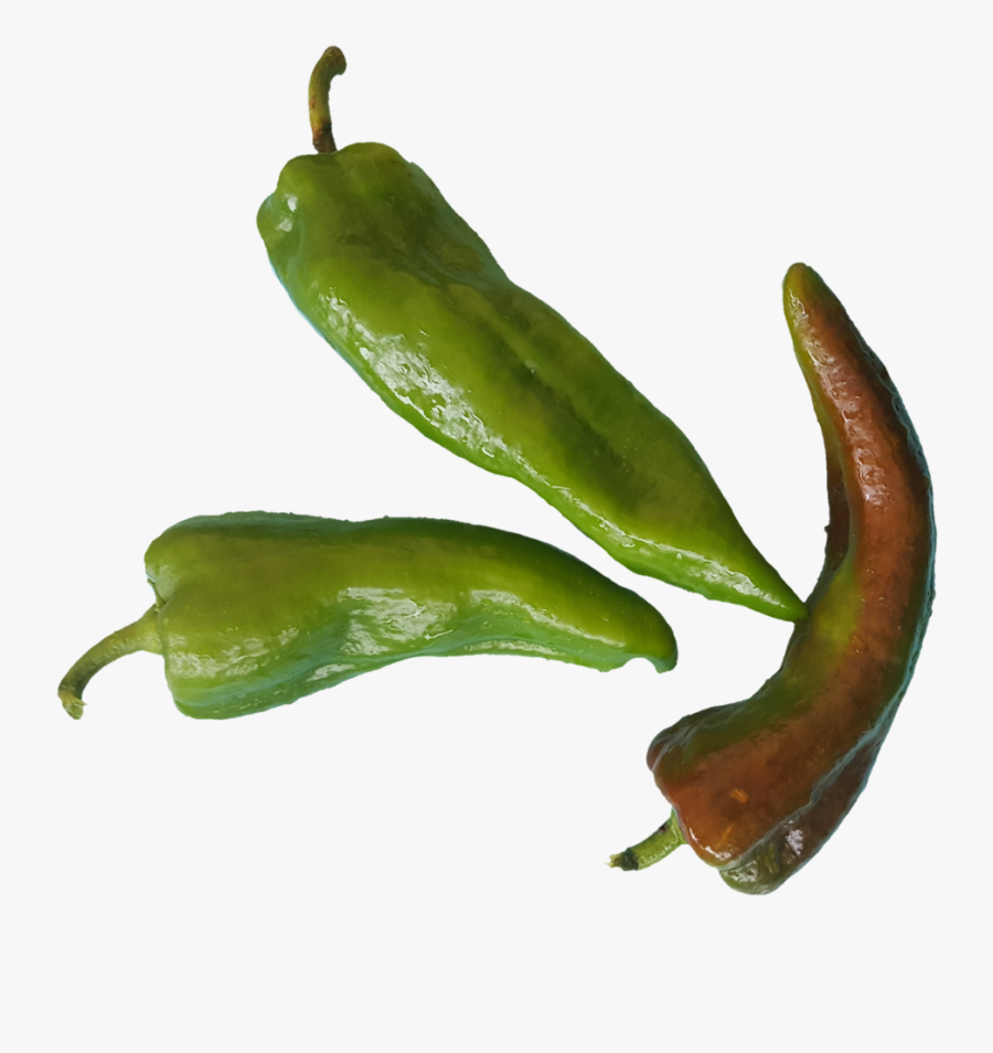 Transparent Pepper Plant Clipart - Bird's Eye Chili, Transparent Clipart