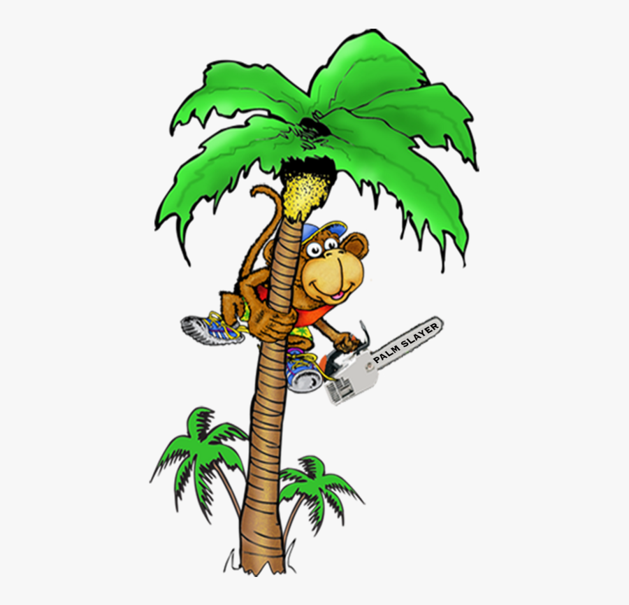 Palm Tree Trimming Clipart 17954 - Monkey In Coconut Tree, Transparent Clipart