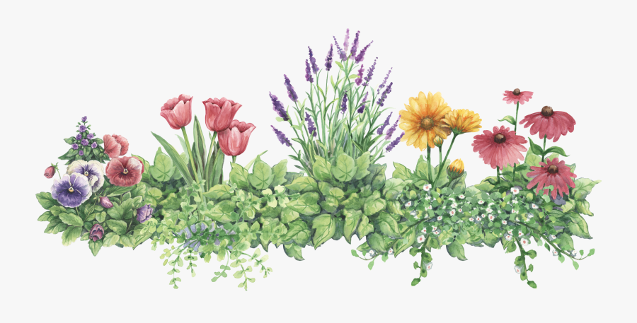 Gj Flower Border Clipart, Pictures To Draw, Watercolor - Png Watercolor Border Art, Transparent Clipart