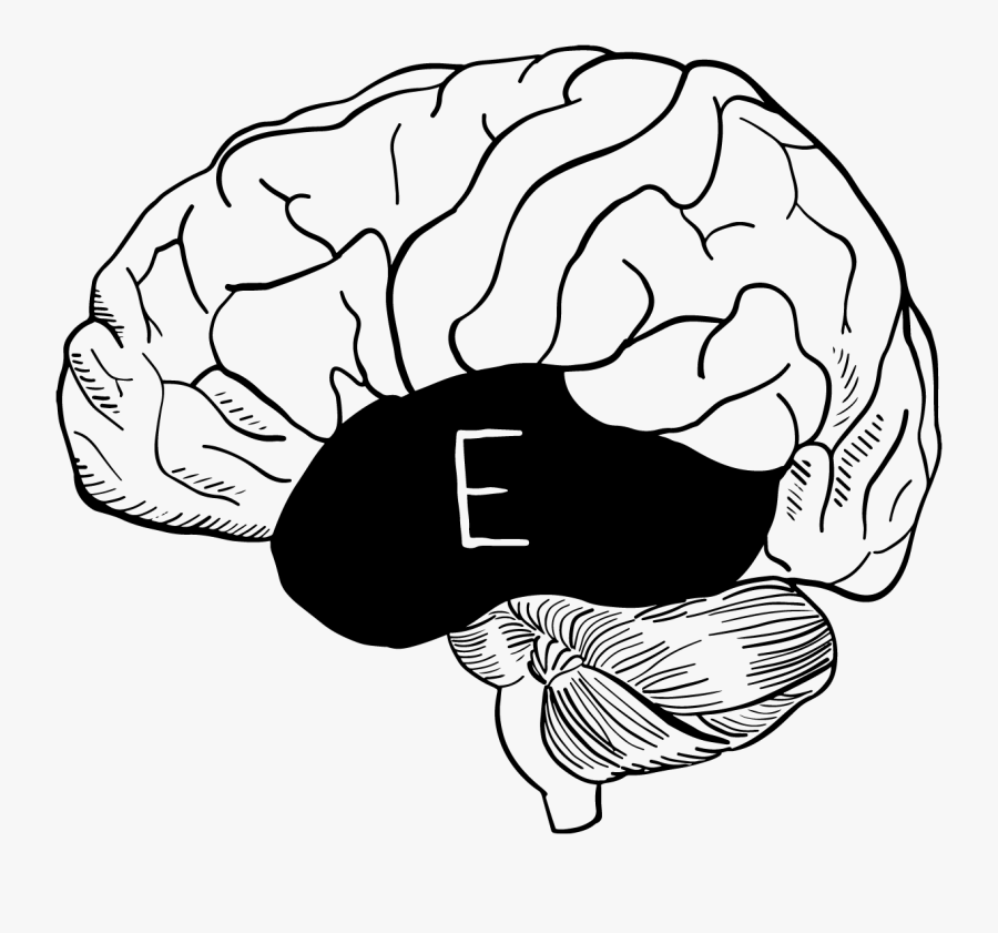 Transparent Draw Clipart - Cauliflower, Transparent Clipart