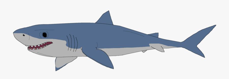 Drawing Clipart Shark - Great White Shark Clipart, Transparent Clipart