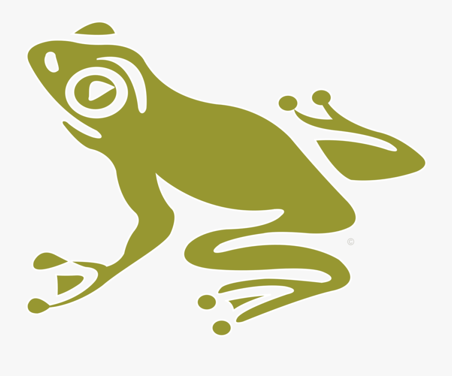 How To Help Animals Blog By World Animal Foundation - World Animal Foundation, Transparent Clipart