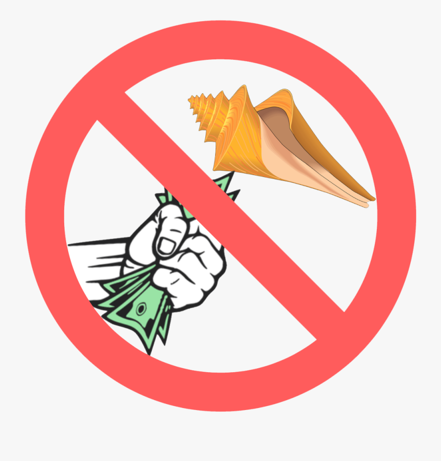 Don"t Buy Souvenirs Of Marine Life - Nato Kfor Beatrice Elizabeth Kfor Soldat Leon K Martinsen, Transparent Clipart