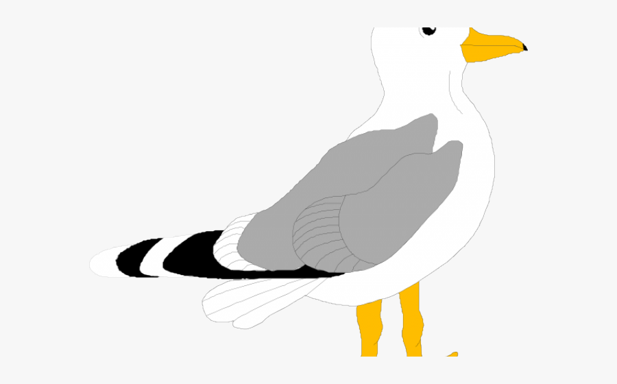 Herring Gull Clip Art, Transparent Clipart
