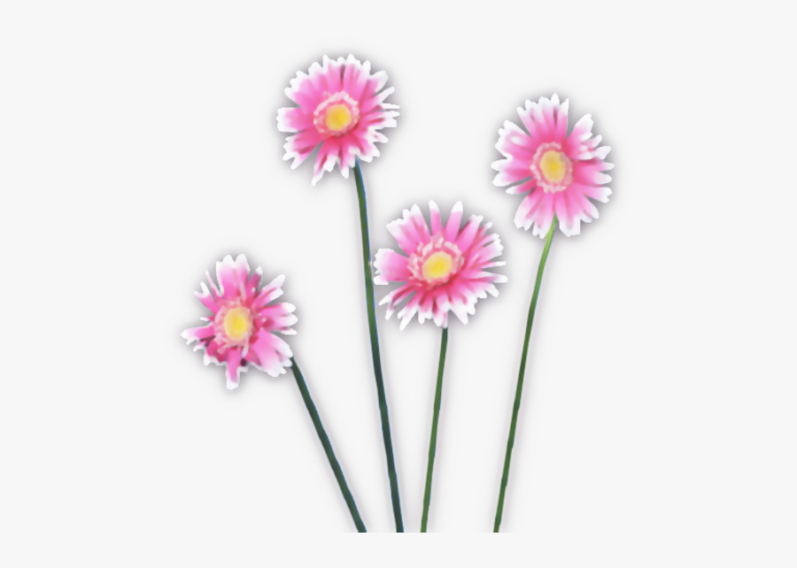 Flowers Watercolor Pink - Pinkdaisy Png, Transparent Clipart
