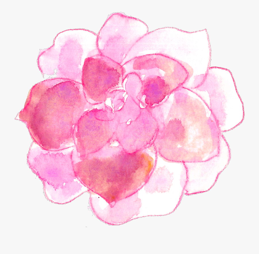 Transparent Watercolor Clipart Png - Free Transparent Watercolor Succulent, Transparent Clipart