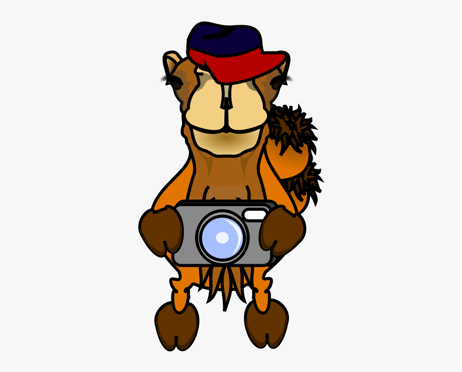 Comic Camel - Camel Photographer, Transparent Clipart