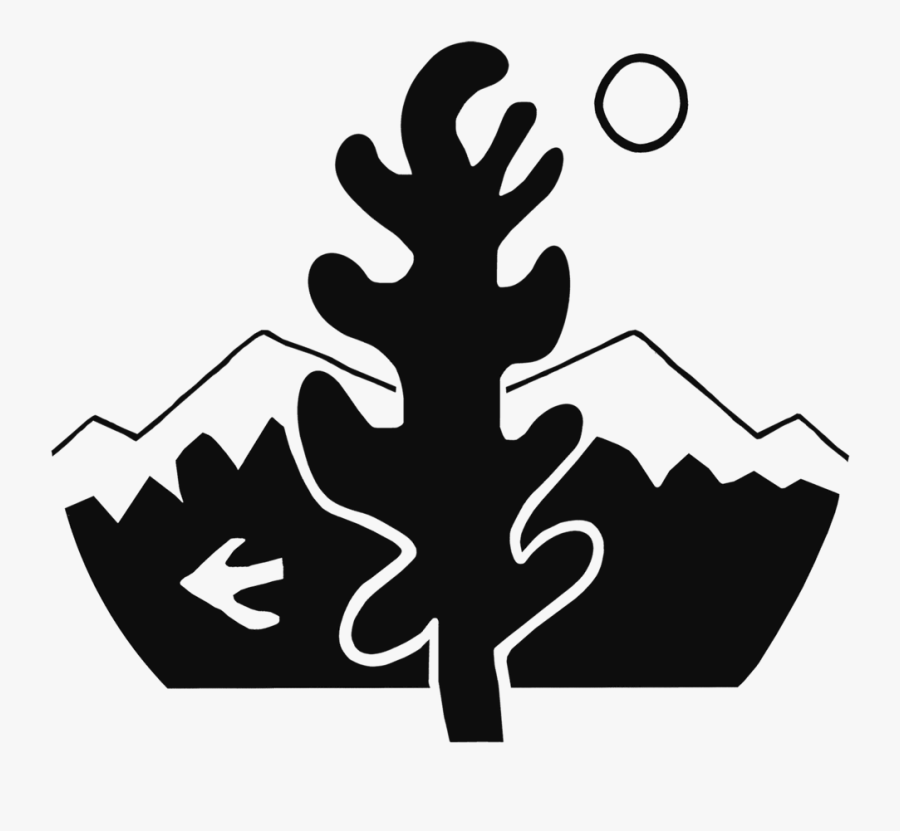 Nelson And New Zealand Wedding Photographer Nelson - Illustration, Transparent Clipart