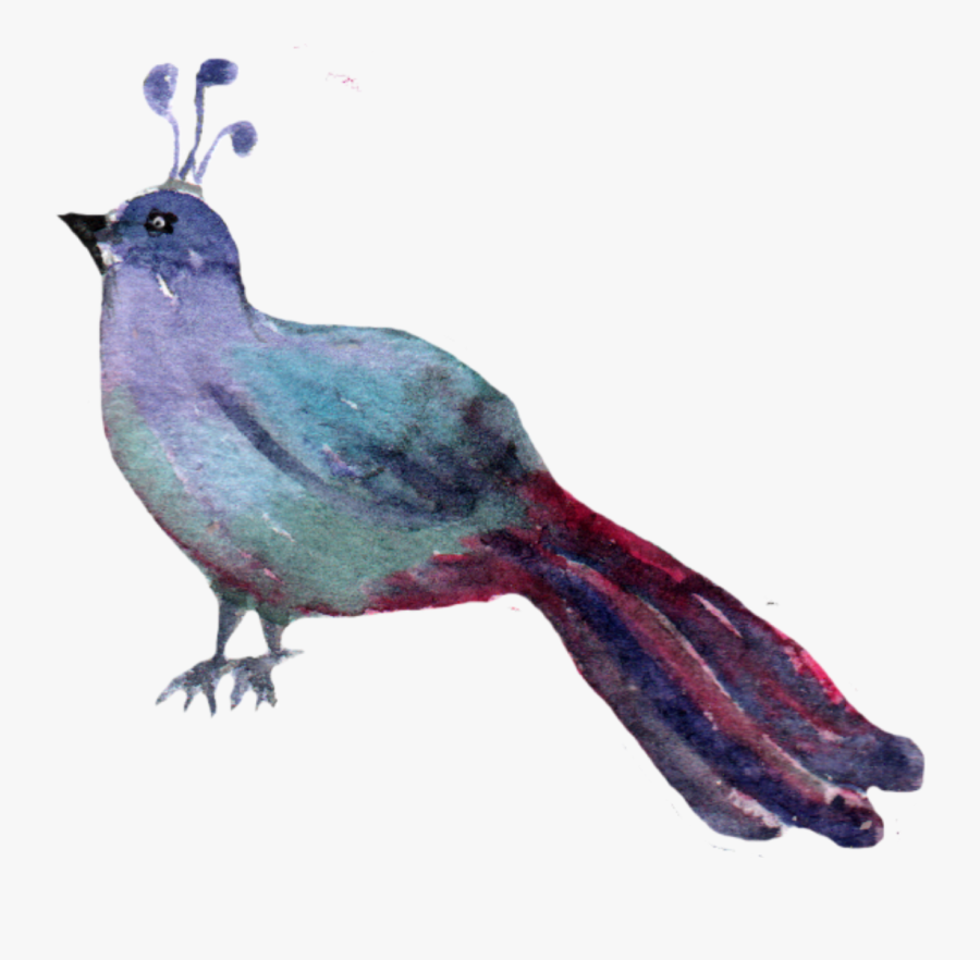 #ftestickers #watercolor #clipart #woodlandcreatures - Indigo Bunting, Transparent Clipart