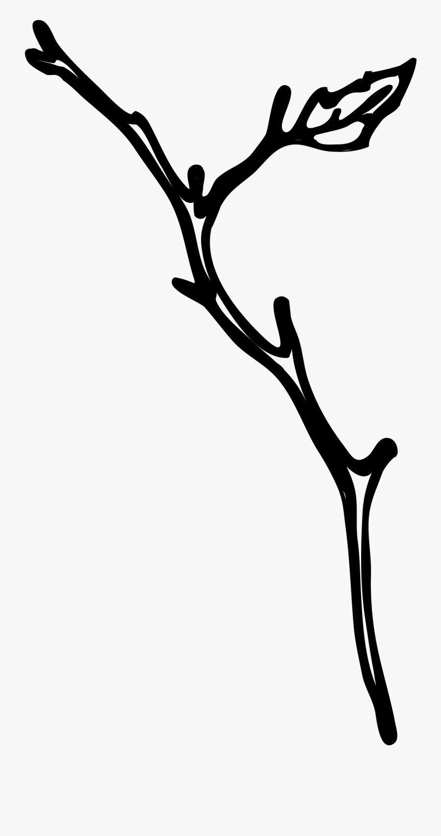 Engagements Christopher Ramos Floridatennesseecolorado - Twig Clipart Black And White, Transparent Clipart