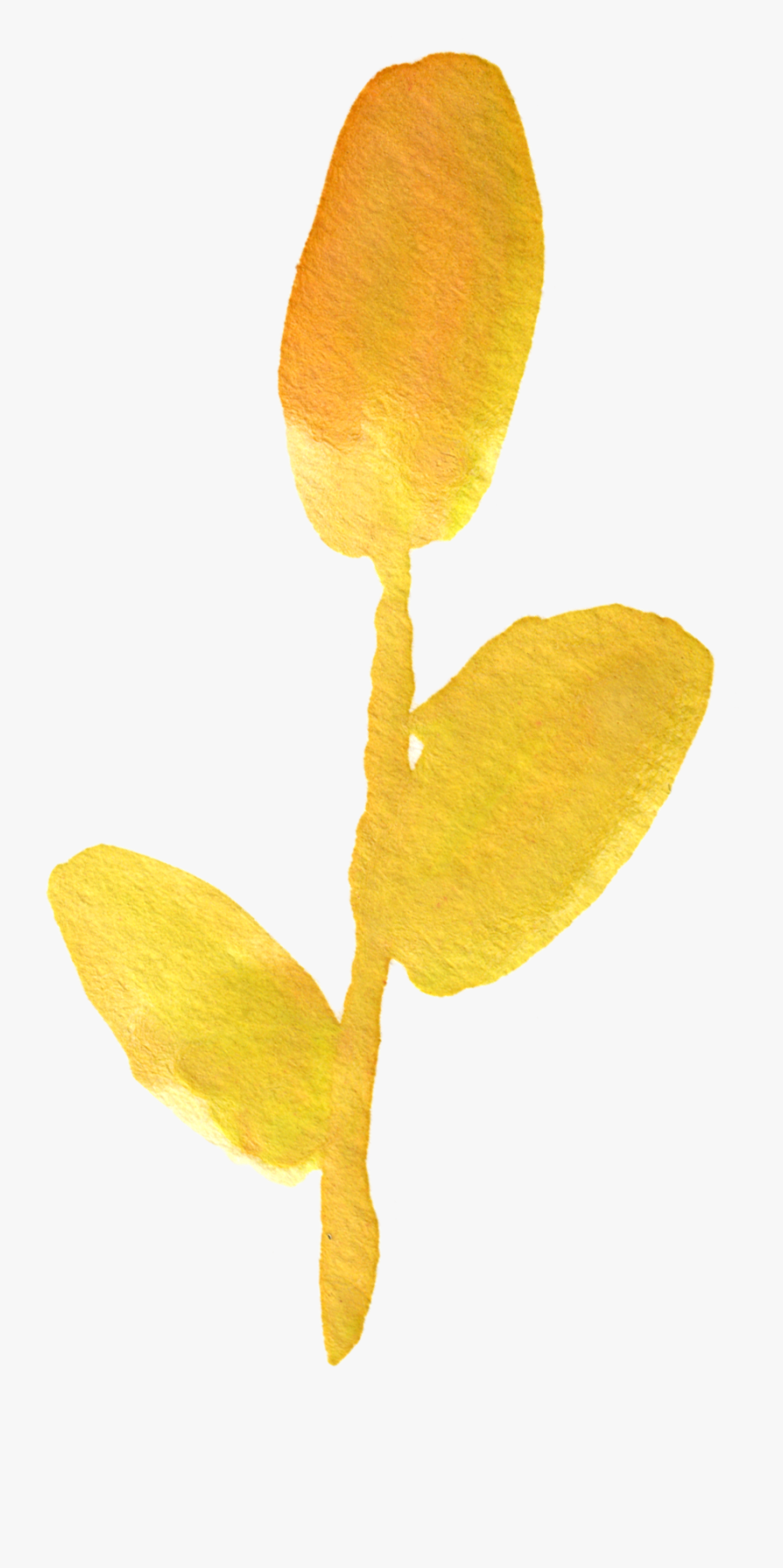 Watercolor Yellow Flowers Png, Transparent Clipart