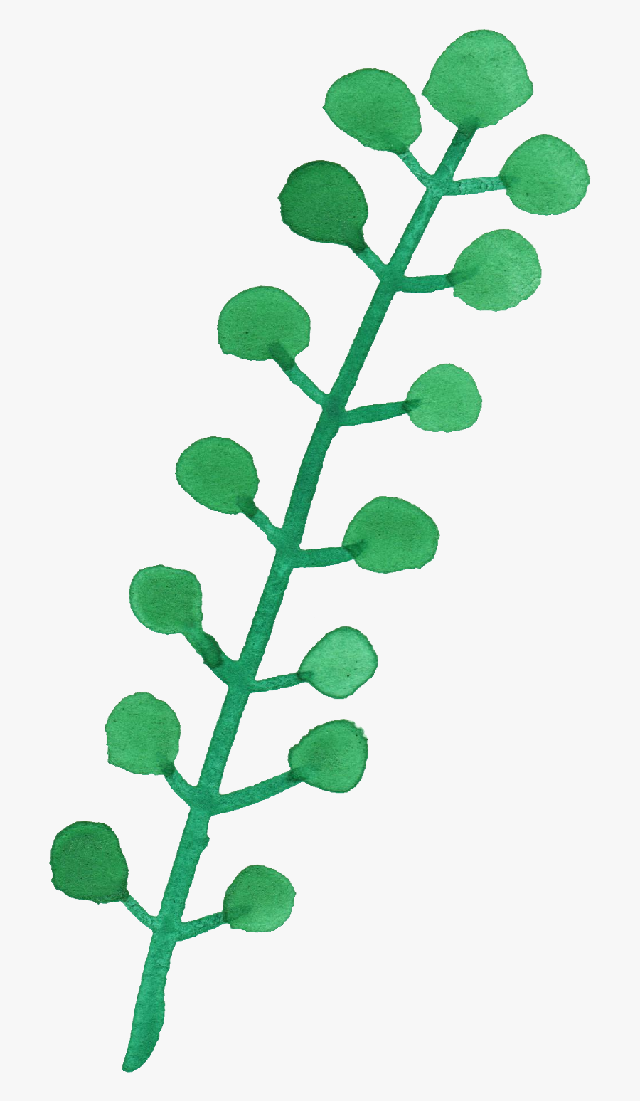 25 Watercolor Leaf Vol - Green Leaves Watercolor Transparent, Transparent Clipart