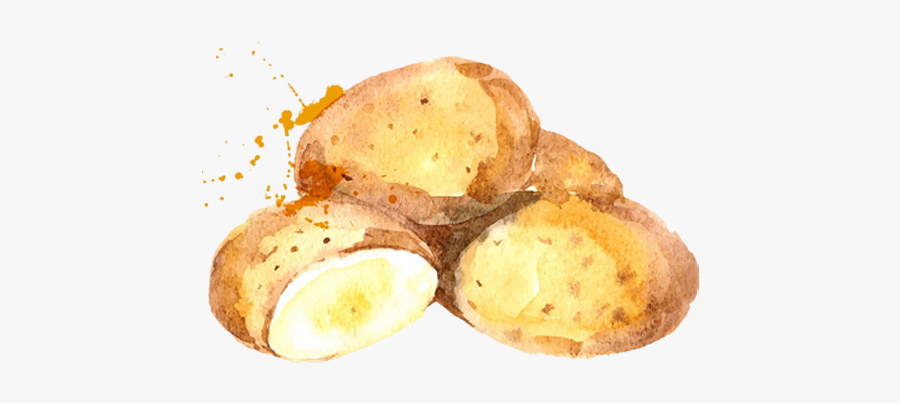 Potato Watercolor Clipart, Transparent Clipart