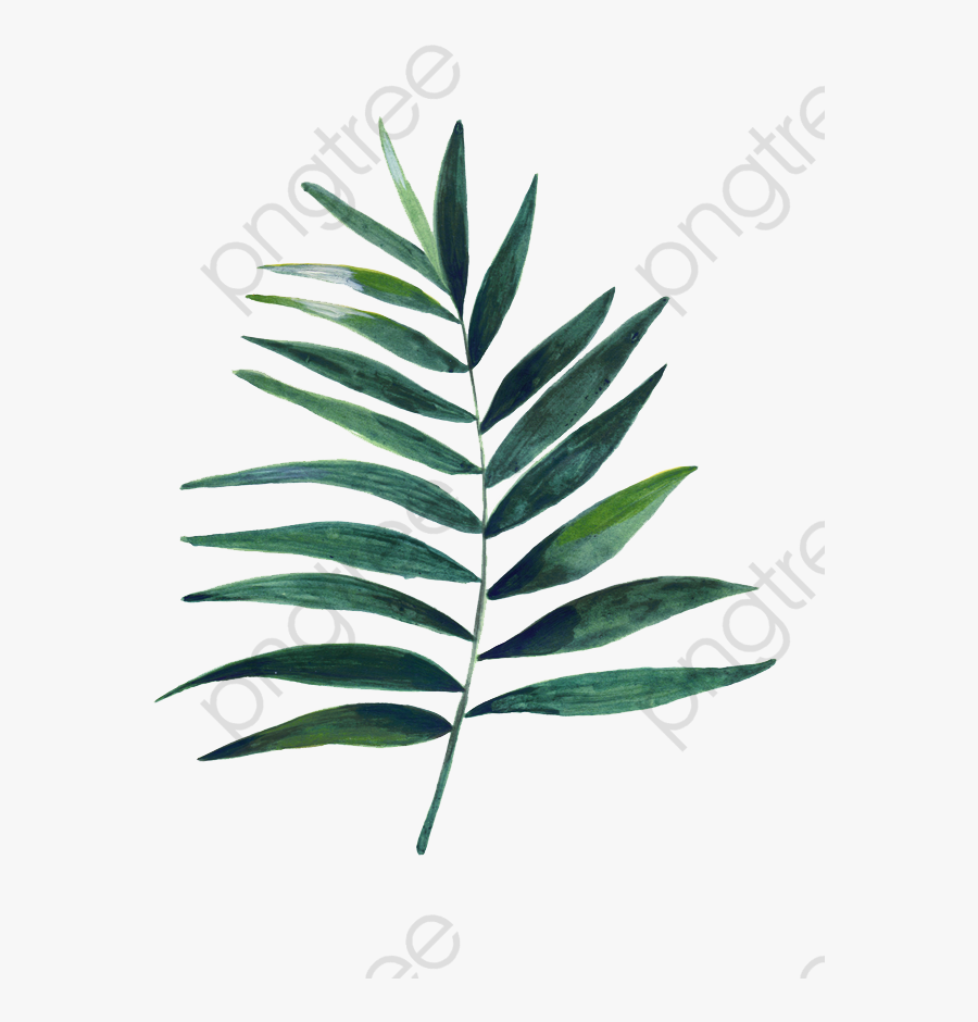 Watercolor Leaves, Watercolor Clipart, Cartoon, Hand - Laminas De Hojas Para Cuadros, Transparent Clipart