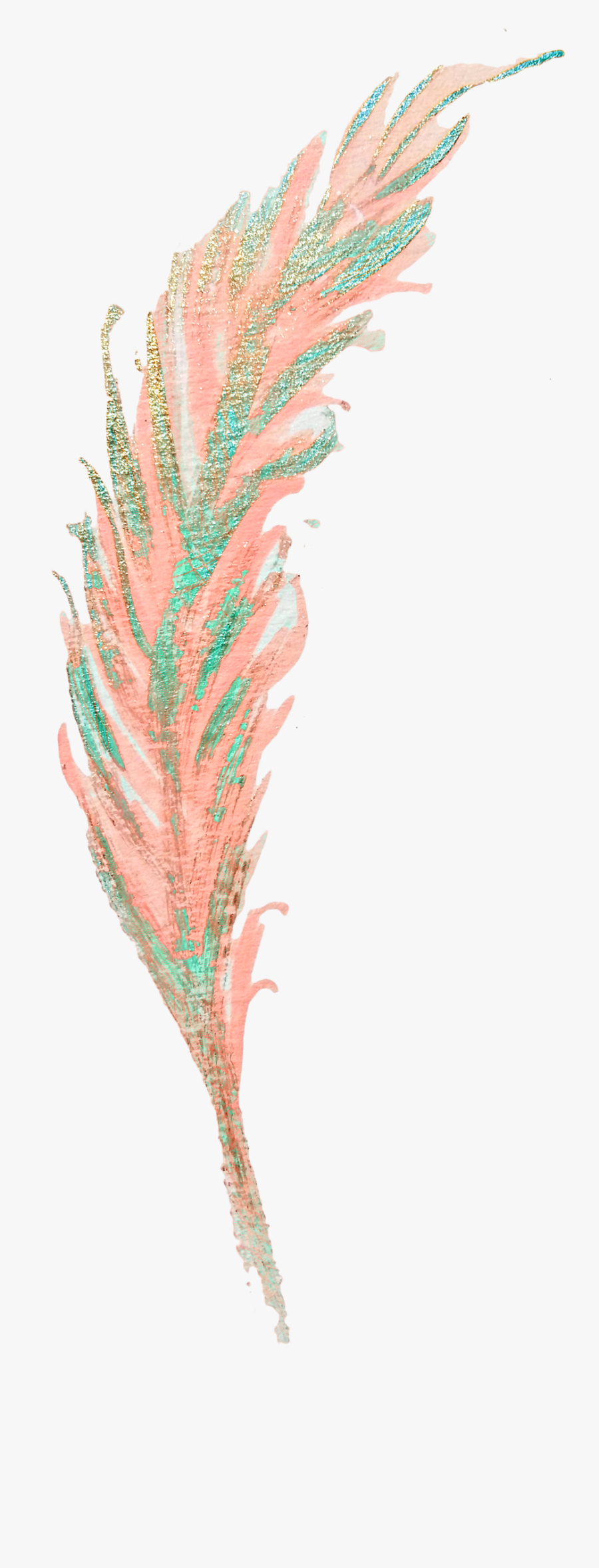 Watercolor Painting Feather Clip Art - Phragmites, Transparent Clipart