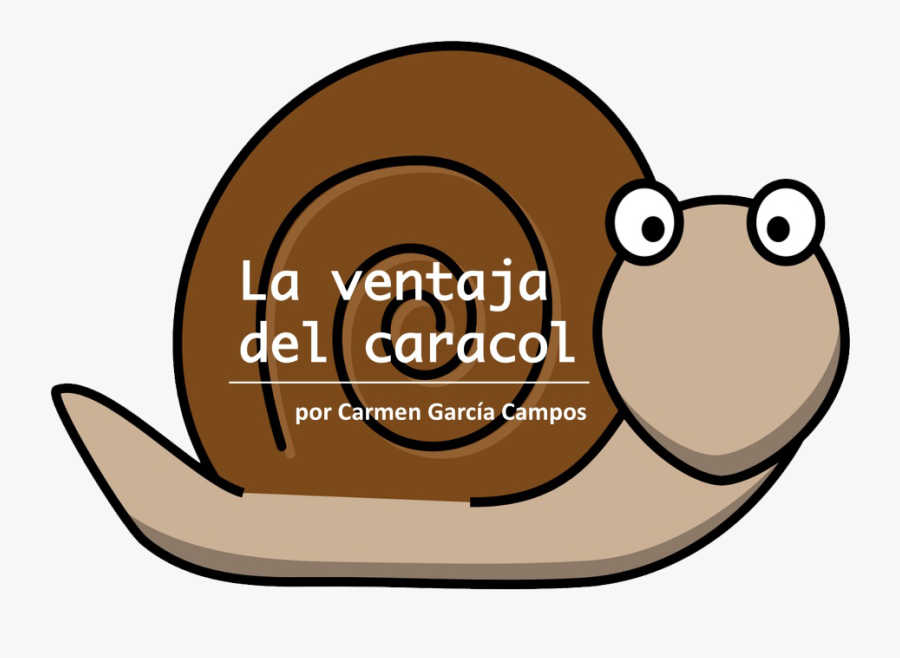Transparent Caracol Png - Clipart Snail, Transparent Clipart