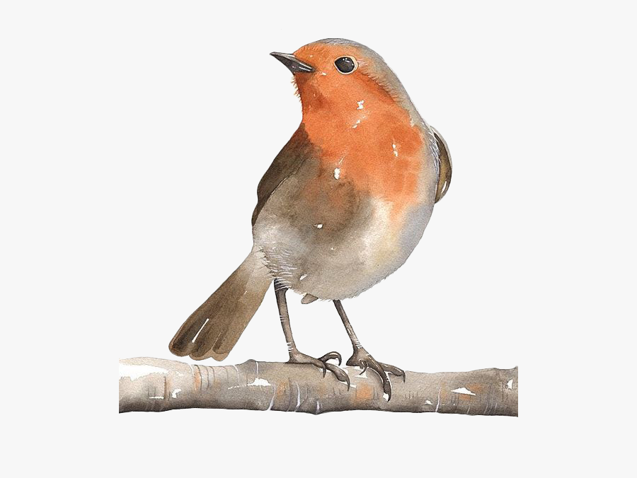 Watercolor Bird Png -sparrow Png Image & Sparrow Clipart - Watercolor Painting, Transparent Clipart