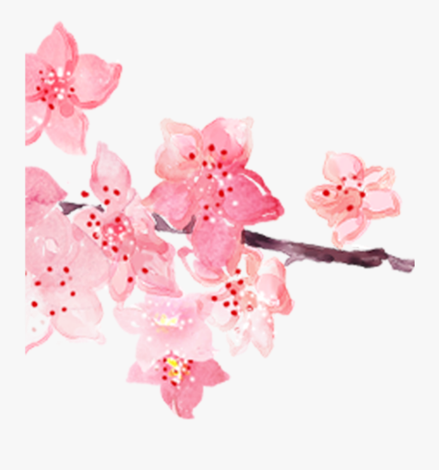 Cherry Blossom Clipart Watercolor - Watercolor Cherry Blossom Background, Transparent Clipart
