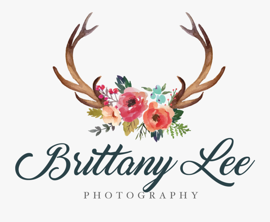 Antler Clipart Flower - Antlers And Flowers Clipart, Transparent Clipart