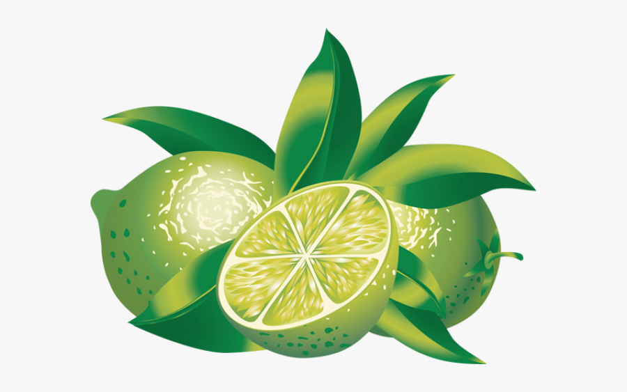 Clip Art Lime Illustration - Limes Clipart, Transparent Clipart