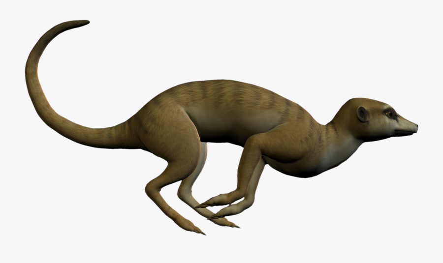 Free High Resolution Graphics And Clip Art - Puma, Transparent Clipart