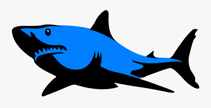 Shark Fin Shark Free Pictures On Pixabay Clip Art - Great White Shark Clipart Silhouette, Transparent Clipart