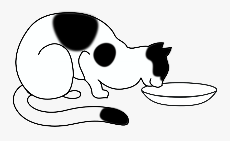 Cat, Bowl, Black, Eating, Pet, Domestic, Hungry, Feline - Draw A Cat Eating, Transparent Clipart