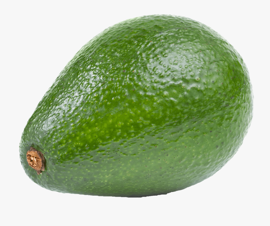 Large Avocado Png Clipart - Avocado Cliparts Of Fruits, Transparent Clipart