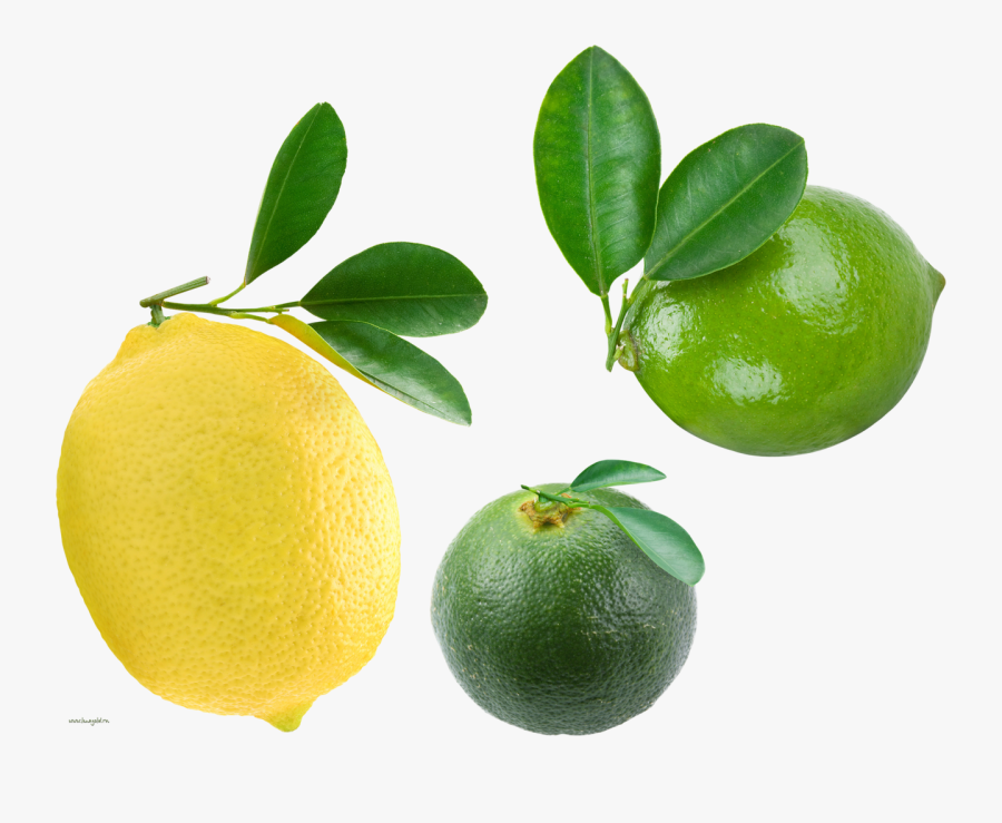 Transparent Citrus Clipart - Limone, Transparent Clipart