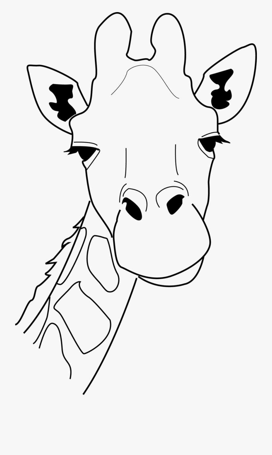 Line Drawing Giraffe Head, Transparent Clipart